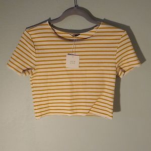 Zara striped crop top